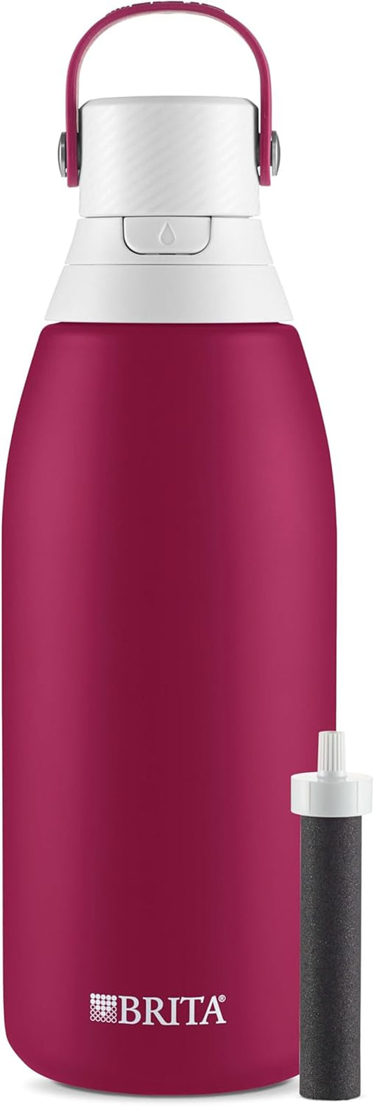 Insulated Stainless Steel Water Bottle with Filter, 32 Oz